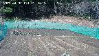 kannonmori-20250404132017.jpg
