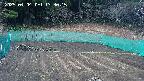kannonmori-20250404133017.jpg