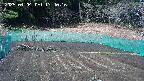 kannonmori-20250404134018.jpg