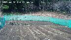 kannonmori-20250404135017.jpg