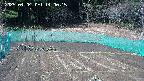 kannonmori-20250404140016.jpg