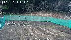kannonmori-20250404142017.jpg
