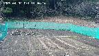 kannonmori-20250404143017.jpg