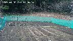 kannonmori-20250404144017.jpg