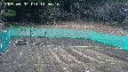 kannonmori-20250404145017.jpg