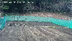 kannonmori-20250404151017.jpg
