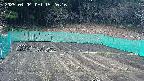 kannonmori-20250404152017.jpg