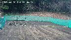 kannonmori-20250404153016.jpg