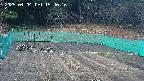 kannonmori-20250404154017.jpg