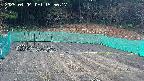 kannonmori-20250404155018.jpg
