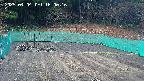 kannonmori-20250404160017.jpg