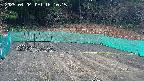 kannonmori-20250404161016.jpg
