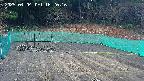 kannonmori-20250404162017.jpg