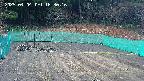 kannonmori-20250404163017.jpg