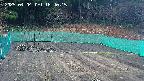 kannonmori-20250404164017.jpg