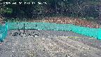 kannonmori-20250404170017.jpg