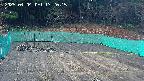 kannonmori-20250404172017.jpg