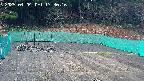 kannonmori-20250404173018.jpg