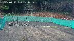 kannonmori-20250404174018.jpg