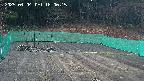 kannonmori-20250404180017.jpg