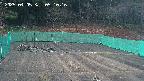 kannonmori-20250405051018.jpg