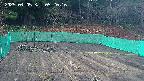 kannonmori-20250405052017.jpg