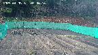 kannonmori-20250405053018.jpg