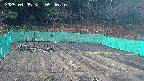 kannonmori-20250405054018.jpg