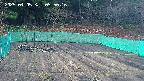 kannonmori-20250405055018.jpg
