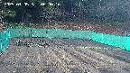 kannonmori-20250405060018.jpg