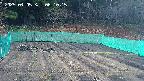 kannonmori-20250405061016.jpg
