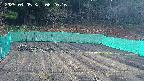 kannonmori-20250405062018.jpg