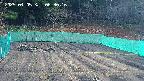 kannonmori-20250405063018.jpg