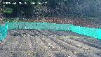 kannonmori-20250405064019.jpg