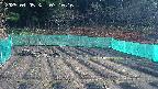 kannonmori-20250405071018.jpg