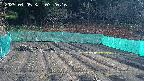kannonmori-20250405072018.jpg
