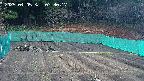 kannonmori-20250405073019.jpg