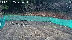 kannonmori-20250405074016.jpg