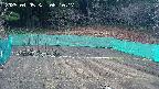 kannonmori-20250405081019.jpg