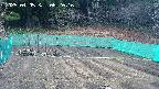 kannonmori-20250405082018.jpg