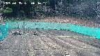 kannonmori-20250405084018.jpg