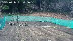 kannonmori-20250405090016.jpg