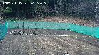 kannonmori-20250405091017.jpg