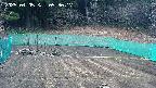 kannonmori-20250405093018.jpg