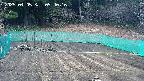 kannonmori-20250405094017.jpg