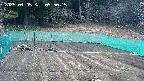 kannonmori-20250405095017.jpg