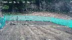 kannonmori-20250405100016.jpg