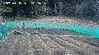 kannonmori-20250405101018.jpg