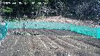 kannonmori-20250405102018.jpg