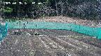 kannonmori-20250405105018.jpg